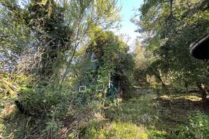 Interessante Stadtimmobilie mit Gartengrundstück in Stuttgart-Ost – Die vollständige Adresse der Immobilie erhältst du vom Anbieter., 70186 Gablenberg, Stuttgart – Vorschaubild 10