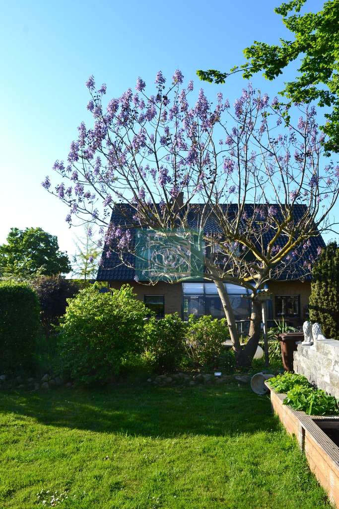 Immobilie in Glowe - Glowe/Polchow: Wunderschöne Wohnimmobilie in ländlicher Umgebung und Wassernähe! - Bild 2