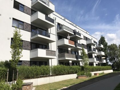 Wohnung Mieten In Bergedorf Immobilienscout24