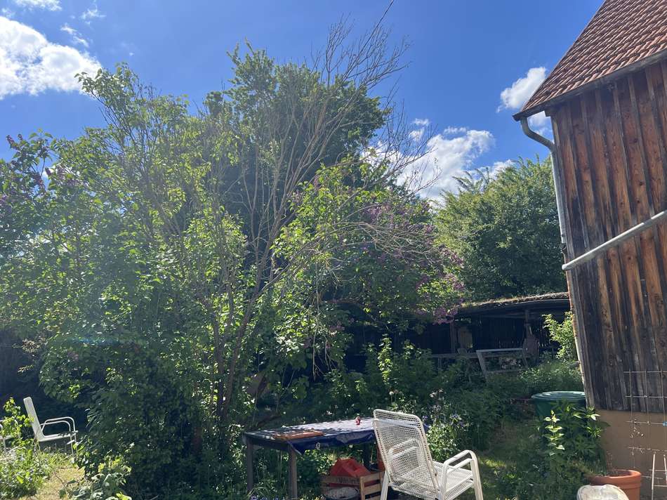 Blick in den Garten