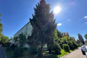 neue EBK mögl. / DG = 3. OG / Südbalkon / Bad mit Fenster / ...in Reichenbrand ! – Nestlerstr. 27, 9117 Chemnitz – Vorschaubild 4