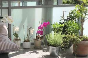 Südstadt Perle! 3 Zimmer-Wohnung mit Garage, großem Balkon und Aufzug – Hartmannstraße 8, 30171 Südstadt, Hannover – Vorschaubild 10