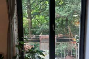 Gemütliche, große 1-Zimmer-Wohnung in top Lage – Krefelder Straße  37, 52070 Hansemannplatz, Aachen – Vorschaubild 10