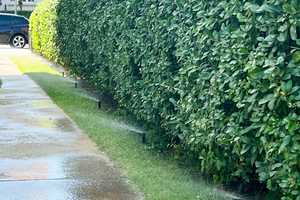 Provisionsfrei - Zweifamilienhaus in Nähe Rostock – Breesener Straße 68, 18299 Güstrow (Kreis) – Vorschaubild 9