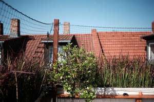 Maisonnette mit Dachterrasse in Neuenheim – Die vollständige Adresse der Immobilie erhältst du vom Anbieter., 69120 Neuenheim, Heidelberg – Vorschaubild 15