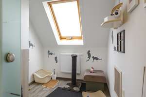 Property thumbnail 17