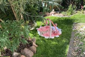 Gepflegtes Haus mit kleinem Garten  – ideal für 2–3 Personen – 65830 Kriftel – Vorschaubild 19