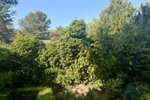 Im Grünen, mit Blick auf die Stadt – Anzengruberstraße 30, 70192 Lenzhalde, Stuttgart – Vorschaubild 11