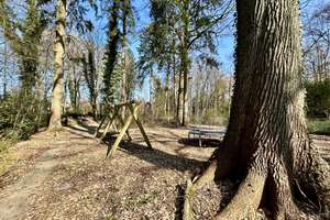Großzügiges Einfamilienhaus auf parkähnlichem Grundstück – Die vollständige Adresse der Immobilie erhältst du vom Anbieter., 22391 Wellingsbüttel, Hamburg – Vorschaubild 16