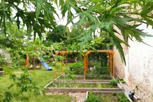 Ein.- bis Zweifamilienhaus mit zusätzlichem Baugrundstück u. großem Garten – Die vollständige Adresse der Immobilie erhältst du vom Anbieter., 68804 Altlußheim – Vorschaubild 30