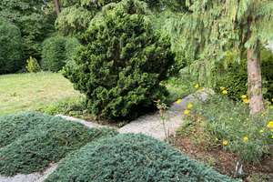 Wunderschöner Bungalow, in ruhiger Lage mit Fernwärme und magischem Garten in Parknähe! – Die vollständige Adresse der Immobilie erhältst du vom Anbieter., 81735 Gartenstadt Trudering, München – Vorschaubild 19