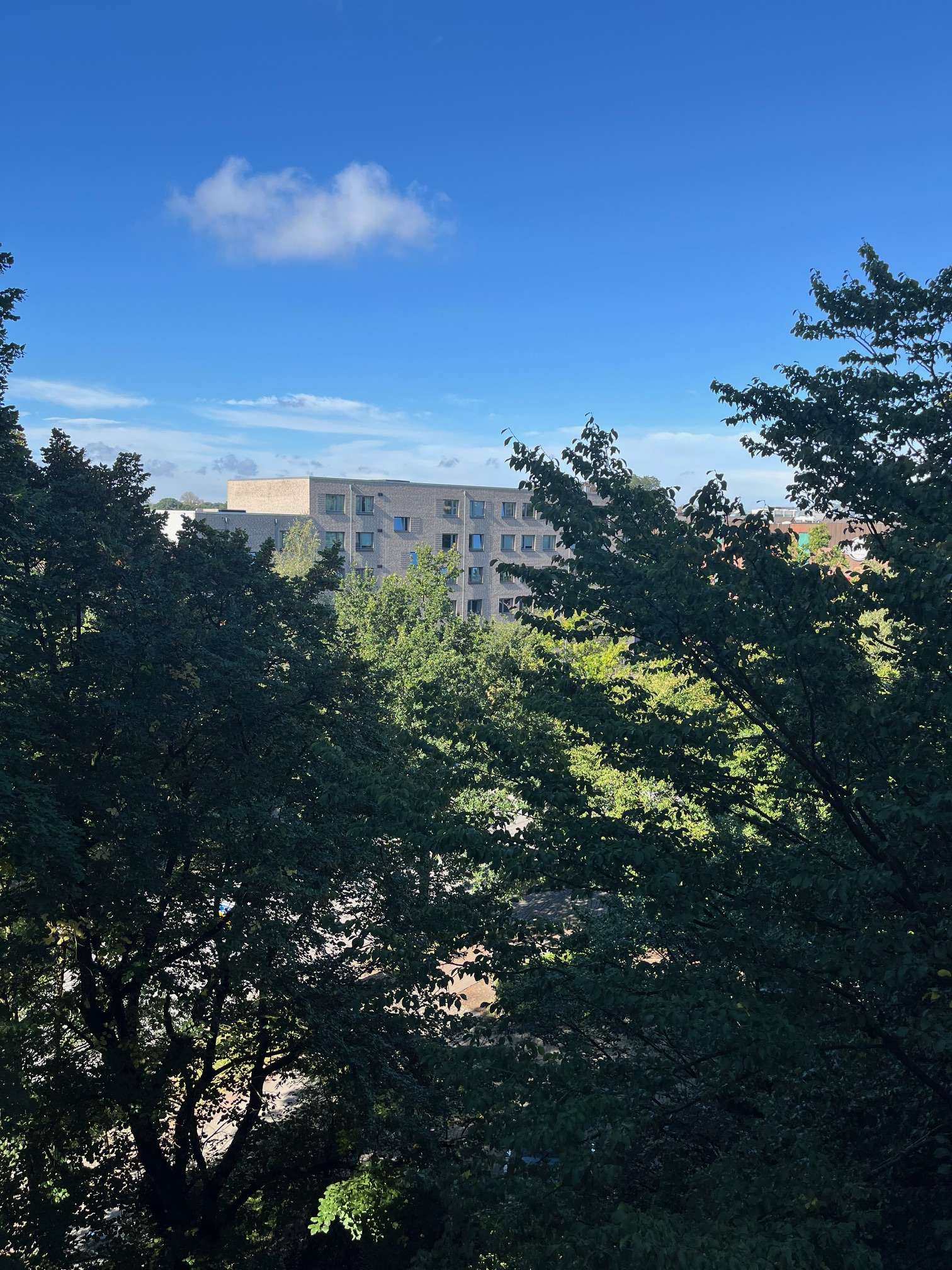 Eidelstedt. - Attraktive 2- Zimmer Wohnung mit Weitblick, Hamburg – Bild 1