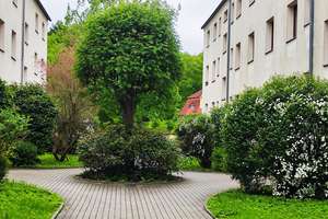 Direkt am Küchwald gelegene 3-Raum-Wohnung mit Balkon – Dorotheenstr. 60, 9113 Schloßchemnitz, Chemnitz – Vorschaubild 5