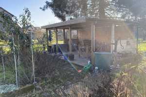 Landhaustraum und Generationenhaus! – Ortenaukreis – Vorschaubild 21