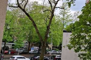 Stadt nah, Stadtwald nah, Zuhause angekommen - 3 Zimmer Wohnung + Loggia + Modernisiert,  Lindenthal – Die vollständige Adresse der Immobilie erhältst du vom Anbieter., 50931 Lindenthal (Ortsteil), Köln – Vorschaubild 4