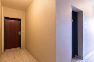 Helle 2,5-Zimmer-Wohnung mit EBK, Balkon & Garage– ruhig am Waldrand gelegen – Hildesheim (Kreis) – Vorschaubild 10