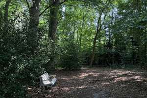So sehen Träume aus! Imposante Villa auf  9.775 m² parkähnlichem Grundstück und eigenem Wald. – Amtsdamm 65, 27628 Hagen im Bremischen – Vorschaubild 15