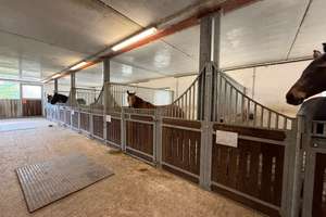 Exklusives Objekt für Pferdeliebhaber oder Hobbybetriebsstätte mit Wohnhaus im DG = in ruhiger Lage – Up´n Barg 10b, 22926 Ahrensburg – Vorschaubild 13