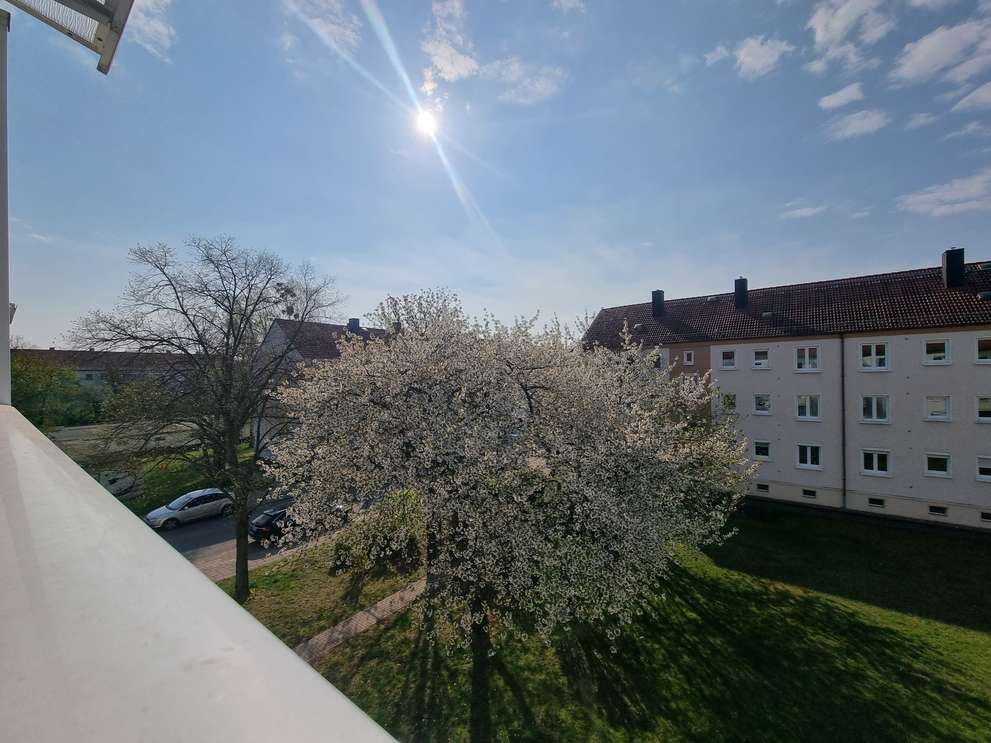 Ausblick