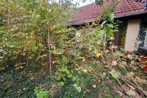 Vierseitenhof mit zwei Wohnungen von privat zu verkaufen – Swenslop 1, 38704 Goslar (Kreis) – Vorschaubild 19
