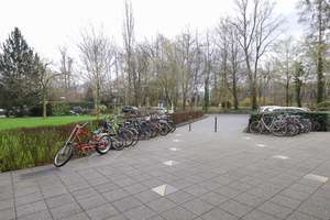 Property thumbnail 29