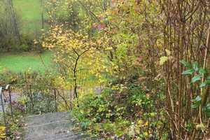 Traumhaus: Freiheit, Natur & lukrative Mieteinnahmen – Lutzenbrunnen 12, 74676 Hohenlohekreis – Vorschaubild 26