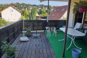 Exklusives Immobilien-Ensemble in Neckargemünd-Dilsberg: Historischer Charme trifft Moderne – Neuhofer Straße 34, 69151 Neckargemünd – Vorschaubild 7