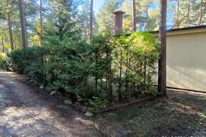 Haus im Wald am See auf Eigentum! – Waldstraße 5, 15913 Dahme-Spreewald (Kreis) – Vorschaubild 7