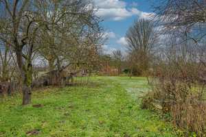 Doppelhaushälfte in ruhiger Lage mit ca. 2000 m² Gartenland – Legbank 2, 24256 Plön (Kreis) – Vorschaubild 24