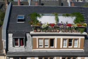 Bornheim....Charmante 3,5 Zimmer Altbau-Maisonett in ruhiger Lage. – 60385 Bornheim, Frankfurt am Main – Vorschaubild 9