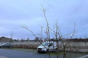 Möbliertes WG-Zimmer für Studenten in Linden – frisch saniert – Badenstedter Straße 76, 30453 Linden-Mitte, Hannover – Vorschaubild 12