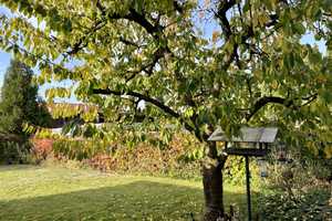 Von Privat: Charmante Doppelhaushälfte mit viel Potenzial und idyllischem Garten – Rhein-Neckar-Kreis – Vorschaubild 18