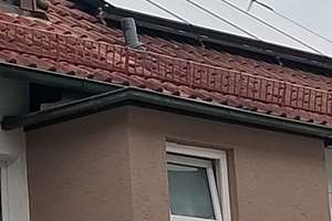 2-3 Familienhaus-gute Lage-sehr schöner Garten mit Teich – Die vollständige Adresse der Immobilie erhältst du vom Anbieter., 74078 Neckargartach, Heilbronn – Vorschaubild 12