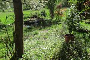 Schöne Doppelhaushälfte mit Einliegerwohnung u. großem Garten - Privatverkauf ohne Makler - Preis VB – Odenwaldkreis – Vorschaubild 28