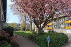 Stilvoll und helle kernsanierte 2,5-Zimmer-Wohnung mit Einbauküche in Sevinghausen – Freisenbruch 3a, 44867 Höntrop, Bochum – Vorschaubild 3