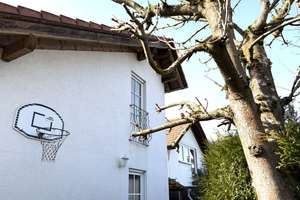 *NEU* IHRE CHANCE! GEPFLEGTES EINFAMILIENHAUS IN RUHIGER NATURNAHER LAGE JETZT BESICHTIGEN! – Die vollständige Adresse der Immobilie erhältst du vom Anbieter., 55595 Münchwald – Vorschaubild 16