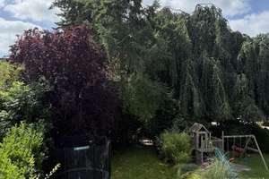 Helles Reihenhaus mit Südwestgarten in ruhiger Lage von
Hamburg-Nienstedten – Die vollständige Adresse der Immobilie erhältst du vom Anbieter., 22609 Nienstedten, Hamburg – Vorschaubild 3