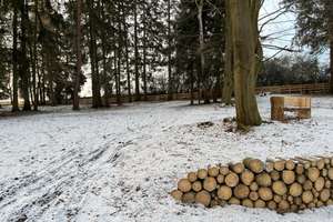 Traum Projekt mit riesigem Potential und toller Adresse! – Alte Burg 1, 61250 Usingen – Vorschaubild 13