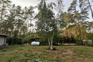 PROVISIONSFREI | Neuwertiger Bungalow, Fußbodenheizung, Kamin auf großem Grundstück in Seenähe – Ostprignitz-Ruppin (Kreis) – Vorschaubild 14