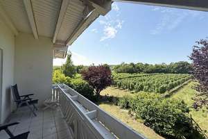 Großzügiges, freistehendes Architektenhaus mit super schönem Garten und tollem Blick in Weinbe – Die vollständige Adresse der Immobilie erhältst du vom Anbieter., 55435 Gau-Algesheim – Vorschaubild 11