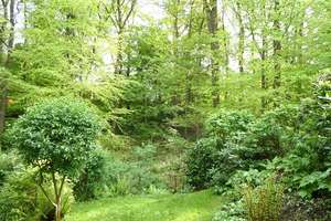 Property thumbnail 9