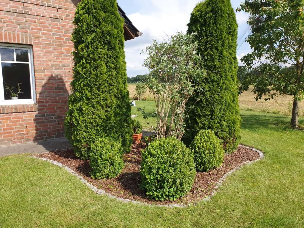 Immobilie in Lengenbostel - Hochwertiges Einfamilienhaus mit Doppelgarage & attraktivem Raumkonzept - Bild 4