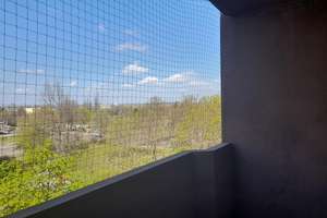 Strehlen - Schöne 2 Raum Wohnung mit Balkon zu vermieten – Walter-Arnold-Str. 25, 1219 Strehlen, Dresden – Vorschaubild 4