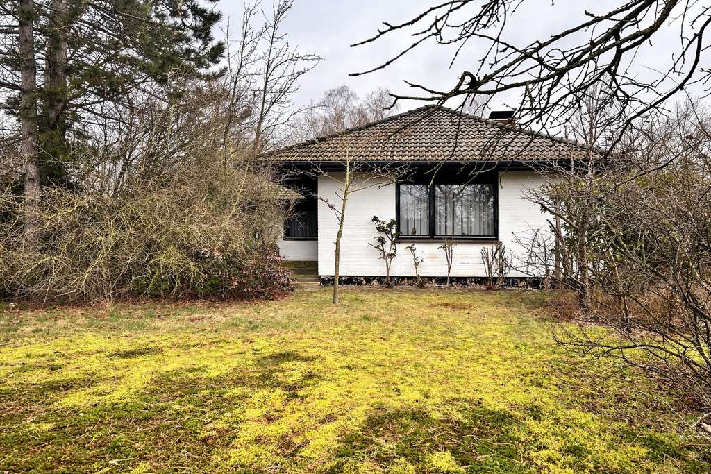 Immobilie in Büchen - Ihr Familienglück im Grünen – Zuhause mit Kamin, Garten und großem Potenzial in Klein Pampau - Bild 1