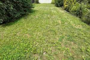 Mayen Stadt: Reihenendhaus mit schönem Garten in zentraler Wohnlage – Mayen-Koblenz (Kreis) – Vorschaubild 18