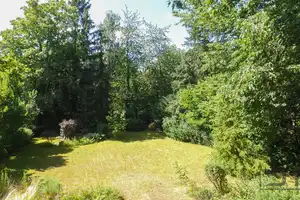 Architektenvilla mit Blick ins Grün & Einliegerwohnung in Seulbitz, Nähe Lohengrin Therme! – Bayreuth – Vorschaubild 44