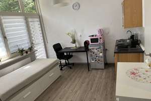 TOP-Saniertes Garten-Apartment in M- Sendling / 1-Zimmer-Wohnung – Luise-Kiesselbach-Platz 31b, 81377 Am Waldfriedhof, München – Vorschaubild 4