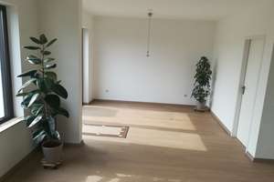 3-Zimmer-Wohnung in ruhiger Lage mit Ost & Westbalkon inkl. Domblick & Blick auf Kölner Skyline – Willi-Baumeister-Straße 54, 51375 Schlebusch, Leverkusen – Vorschaubild 5
