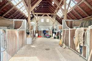 Paradies für Pferdehalter - Großes Reitanwesen mit modernem Wohnsitz und umfangreicher Ausstattung – 26487 Blomberg – Vorschaubild 10