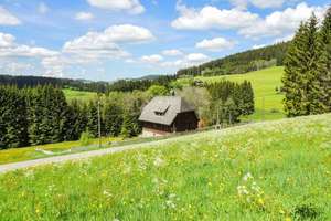 Rückzugsort im Schwarzwald: Charmantes Schwarzwaldhaus in Alleinlage mit 1.482 m² Naturgrundstück – Die vollständige Adresse der Immobilie erhältst du vom Anbieter., 79822 Titisee-Neustadt – Vorschaubild 23